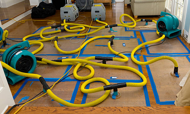 Professional Burst Pipe Water Damage technician working in East Butler, PA